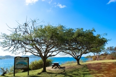 Martinique